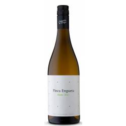 FINCA ENGUERA VERDIL 2025