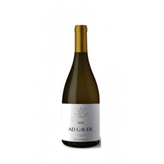 AD GAUDE BLANCO F.B. 2024