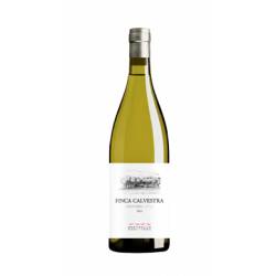 FINCA CALVESTRA 2022
