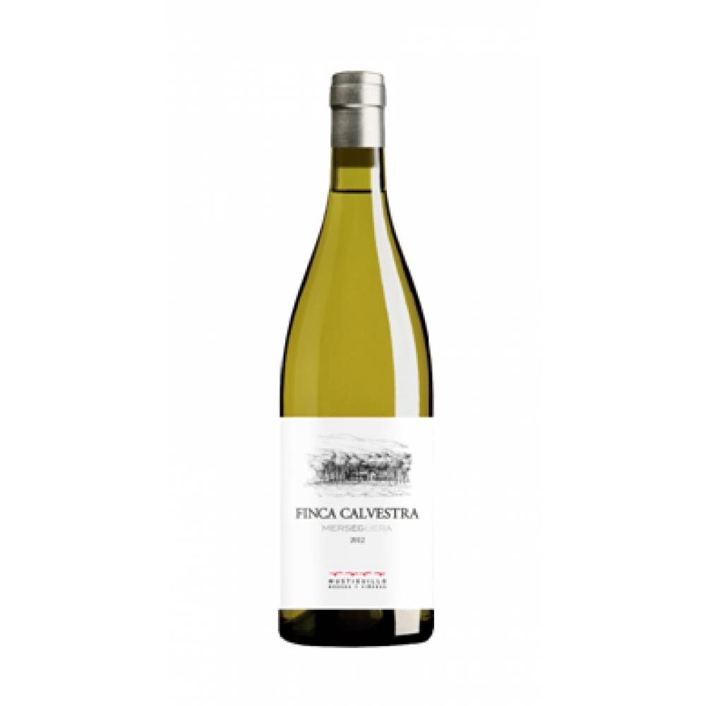 FINCA CALVESTRA 2024
