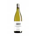 FINCA CALVESTRA 2024