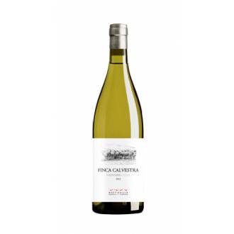 FINCA CALVESTRA 2024