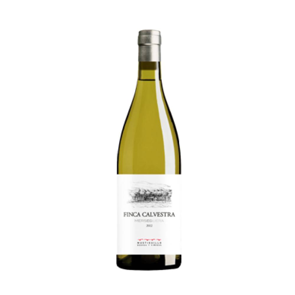 FINCA CALVESTRA 2025