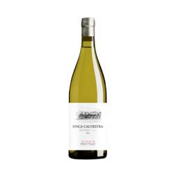 FINCA CALVESTRA 2025