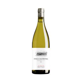 FINCA CALVESTRA 2025