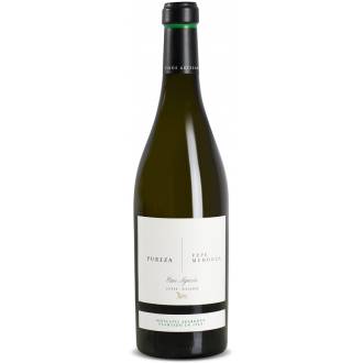 CASA AGRICOLA PUREZA BLANCO 2023. MOSCATEL ANFORA