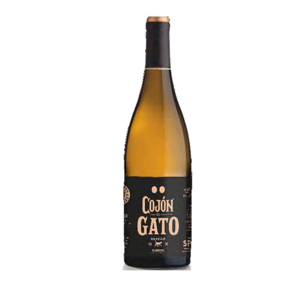 COJON DE GATO. GODELLO 2024