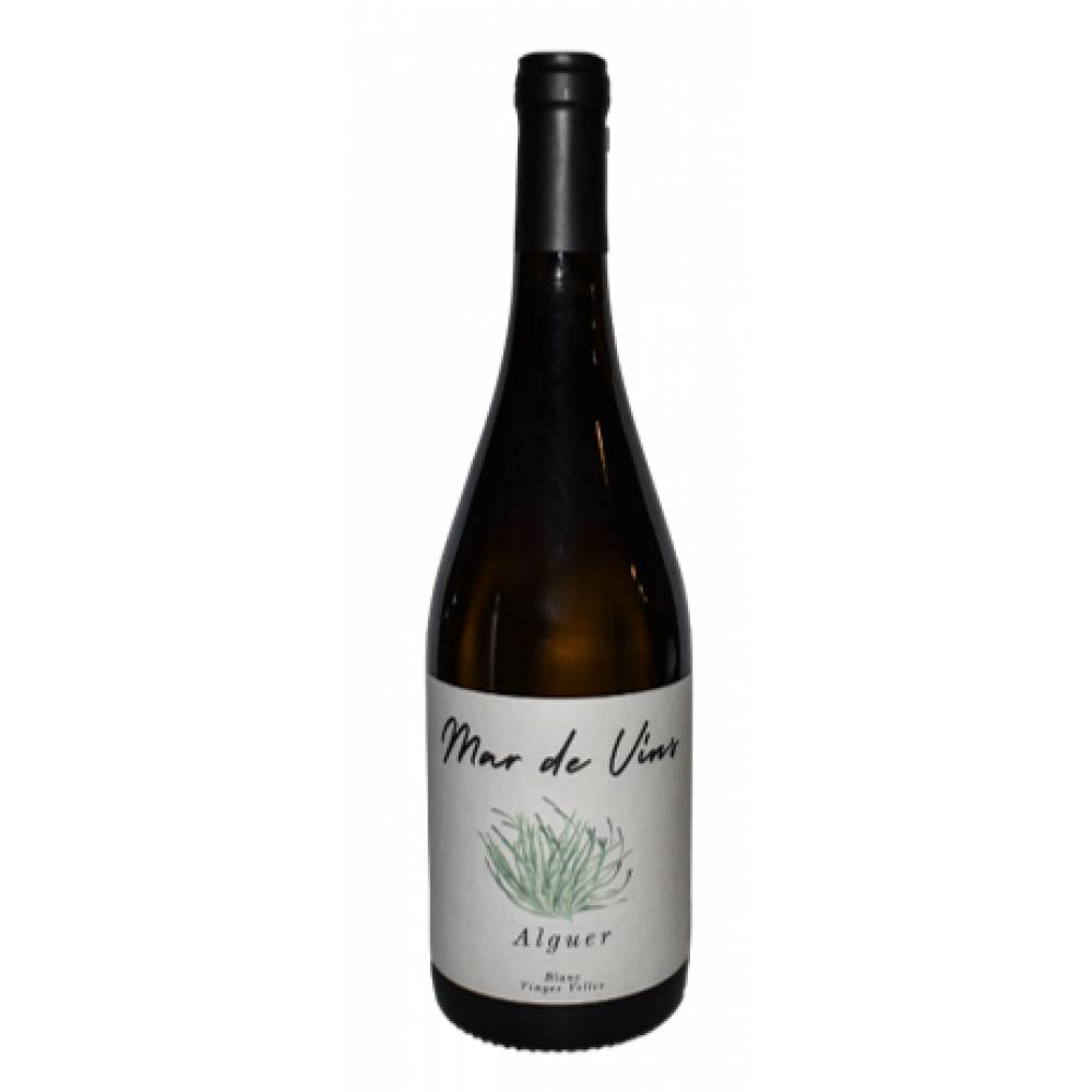 ALGUER. MALVASIA 2025