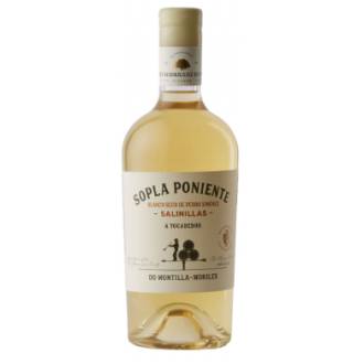 SOPLA PONIENTE SALINILLAS
