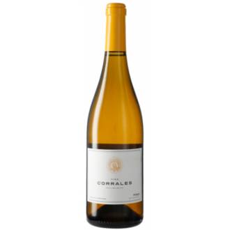 VIÑA CORRALES FINO SACA 2023