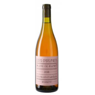 LES PRUNES ROSAT 2024