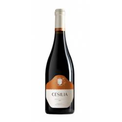CASA CESILIA ROBLE 2019