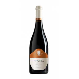 CASA CESILIA ROBLE 2019