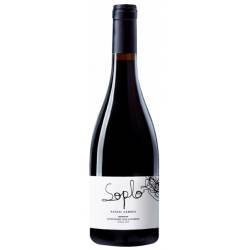 SOPLO 2024. RAFA CAMBRA